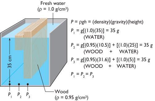 Composition, elevation, and physiographic (Continued) Isostasy refers to the balance of an object floating upon a fluid medium.
