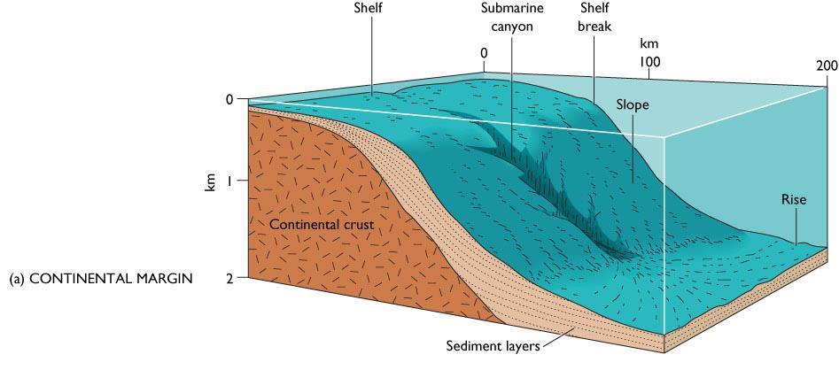 Continental margins are the submerged edges of the continents. They consist of massive wedges of sediment eroded from the land and deposited along the continental edge.