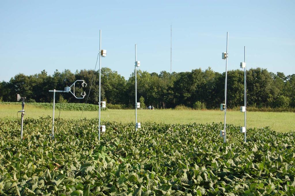 Escape of Spores from Infected Soybean Canopy Spore escape