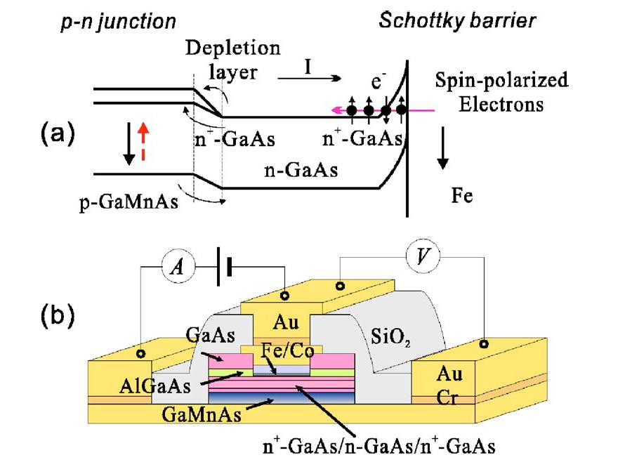 experimental observation of spin-voltaic effect in a ferromagnetic pn junction P. Chen, J. Moser, P. Kotissek, J. Sadowski, M. Zenger, D.
