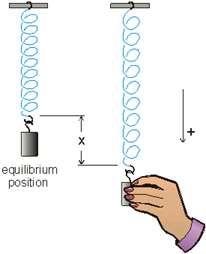 T Period Seconds (s) l Length of pendulum Meters (m) g Acceleration due to gravity Meters per second squared (m/s 2 ) Hooke s Law - When a mass bobs on a spring, it is another good example of SHM.