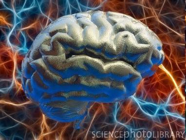 Neural Netwrk (NN) A very simplified mdel f the brain Human