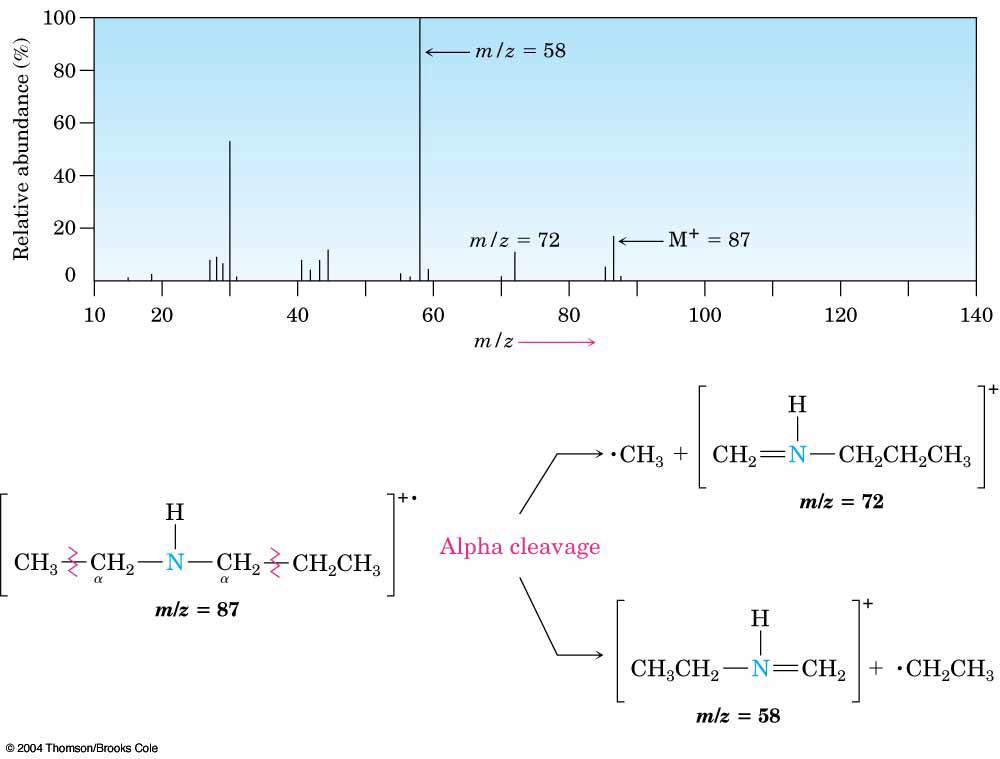 Mass Spectrum of N-Ethylpropylamine The two modes of a