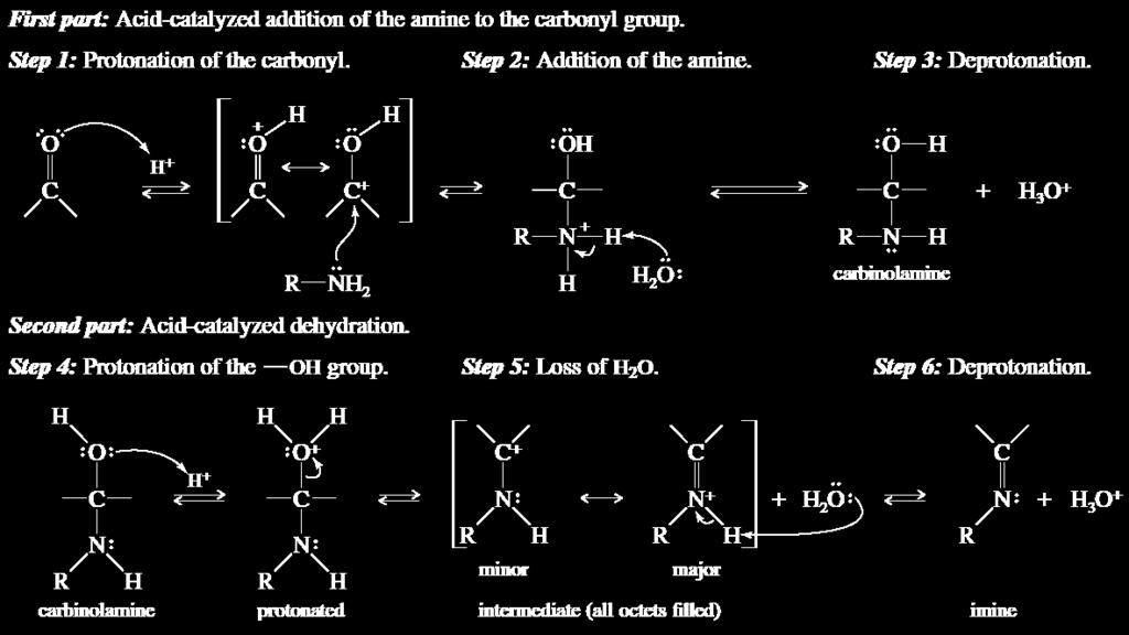6) Formation of Imines