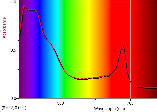 1. Which wavelengths are most strongly absorbed by this pigment (justify your answer)? 2.