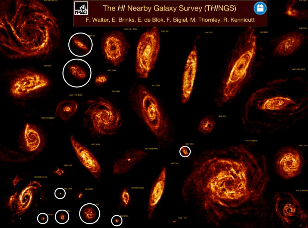 Recent progress on observations THINGS: The HI Nearby Galaxy Survey (Walter et al.