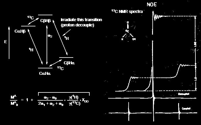 energy difference between the CαHα and CβHα states, hence one expects a much large NOE enhancement than for the H H situation. Coupled 13 C NMR Spectra with NOE.