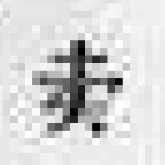 The raster image (pixel matrix) 0.92 0.93 0.94 0.97 0.62 0.37 0.85 0.97 0.93 0.92 0.99 0.95 0.89 0.82 0.89 0.56 0.3 0.75 0.92 0.8 0.95 0.9 0.89 0.72 0.5 0.55 0.5 0.42 0.57 0.4 0.49 0.9 0.92 0.96 0.