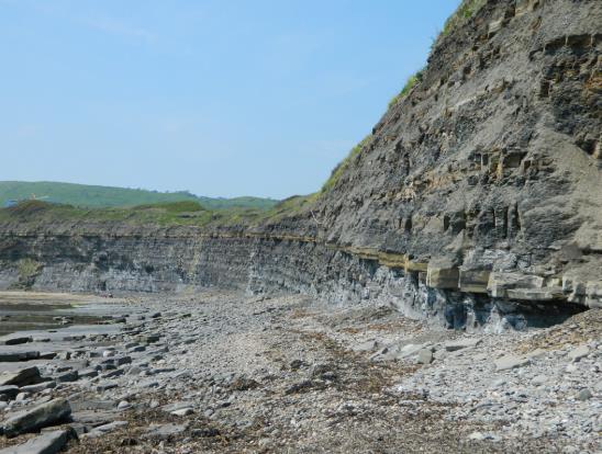 Outcrop Summaries Kimmeridge Bay The Kimmeridge stage is widely associated with source rock deposition in many basins of the Northern Hemisphere, and here at the type locality from which the stage