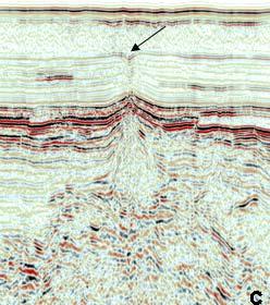 (b) A seismic section showing pockmark (arrowed). (c) Seismic section showing a paleopockmark (arrowed).