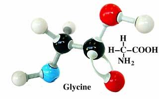 Glycine nly achiral amino acid Adds