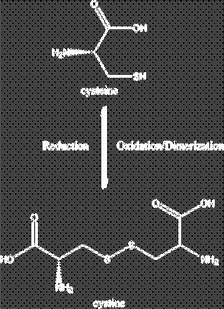 Cysteine Sulfur-containing amino acid Capable of undergoing reductionoxidation reactions Don t need to know specifics of red-ox