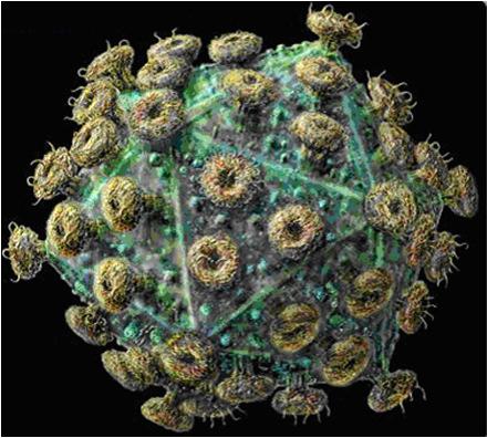 Retroviruses Retroviruses Viruses, such as the AIDS, human immunodeficiency virus (HIV) Are able to transcribe a single strand of RNA into double-stranded DNA using an enzyme called reverse