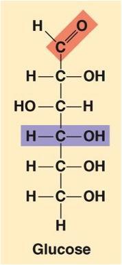 Is this molecule