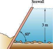 Your answer should include a scale drawing of the seawall, showing the point force and its location. E8.3.