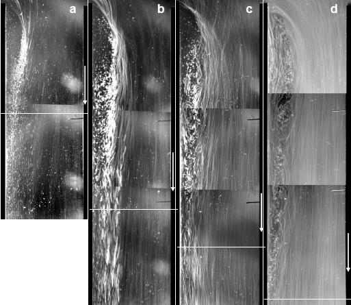 Diana BROBOANĂ, Tiberiu MUNTEAN, Corneliu BĂLAN 6 3. FLOW VISUALIZATION Visualizations of vortex-i have been performed for concentrations C 0 to C 04 in the interval Re ( 200 3000).