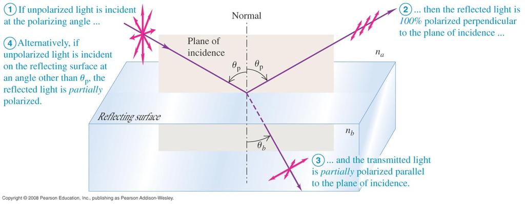 Polarization Electric field vectors that are perpendicular to the plane of incidence of a