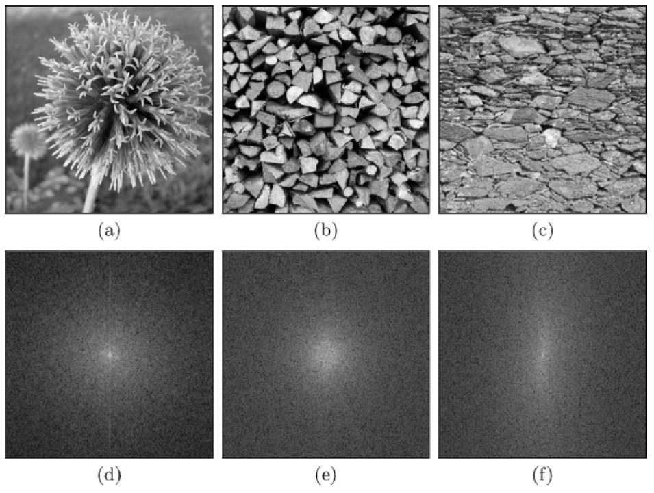 Examples: DFT natural image patterns with no dominant orientation.