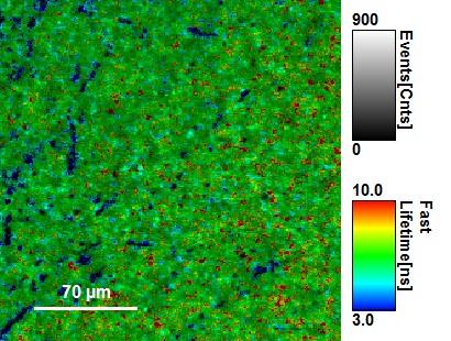 TRPL Imaging can Reveal the Defect Structure of CIGS Material Intensity Image Sample: CIGS layer on glass MicroTime 100 Objective: LCPlan N 20x, 0.