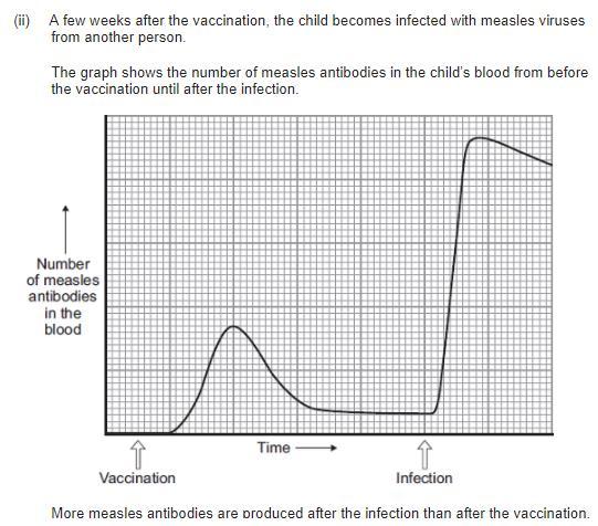 4.3.1.7 Microbes and Health Vaccination Key information: - Spread of pathogens can be reduced by vaccinating a large amount of the population.