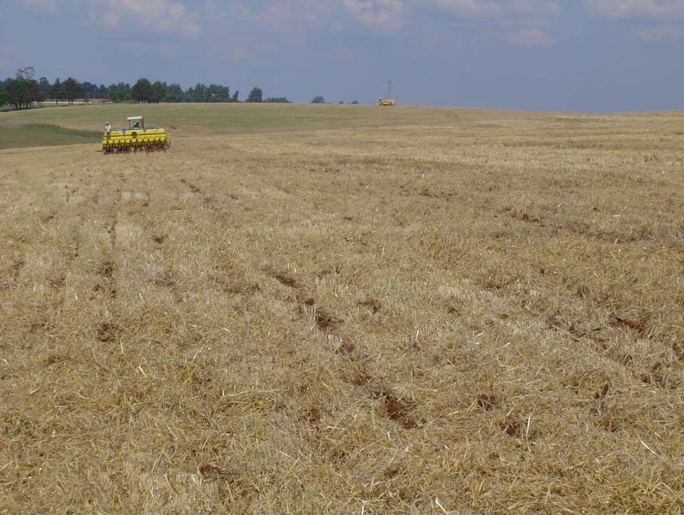 Conservation tillage Disadvantages Highly dependant on chemical control, particularly weeds.