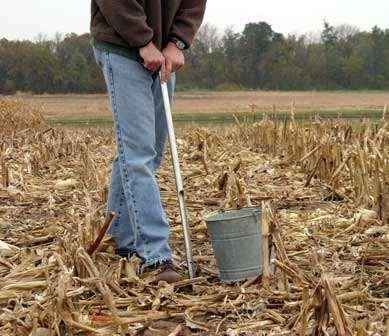 Soil Testing Most useful with a representative and uniform soil samples. Depth of sample One foot increments. One foot for non-mobile nutrients, such as P & K.