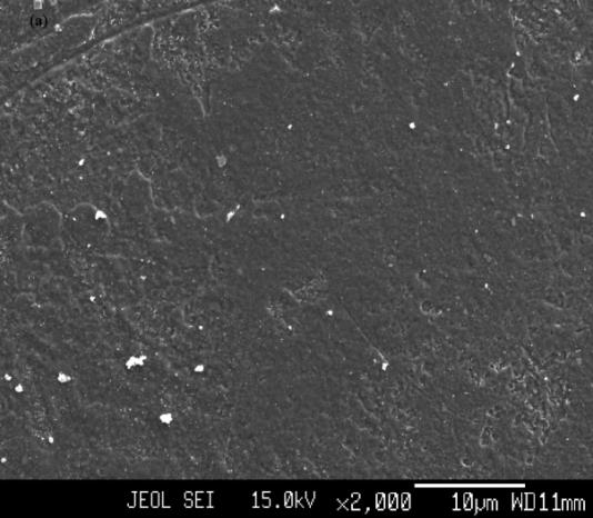 Scanning electron microscopy studies Fig. 3.4 shows the morphology of PVdF(HFP) - PMMA (4:1) blend film and [PVdF(HFP)-PMMA (4:1)] (20 wt%) - [NaSCN (1.