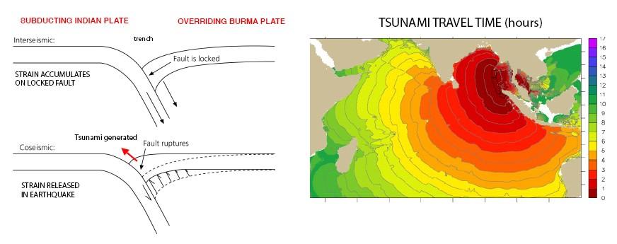 Rapid Determination of Earthquake Magnitude using GPS for Tsunami Warning Systems: An Opportunity for IGS to Make a Difference Geoffrey Blewitt, 1 Corné Kreemer, 1 William C.