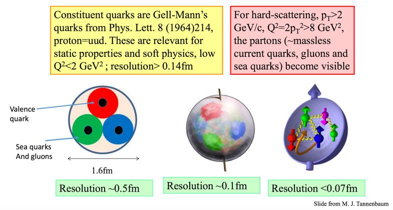 Participant Quark Scaling Seems to imply that only quarks are involved contrary to what one expects from the increase of the gluon density at low x.