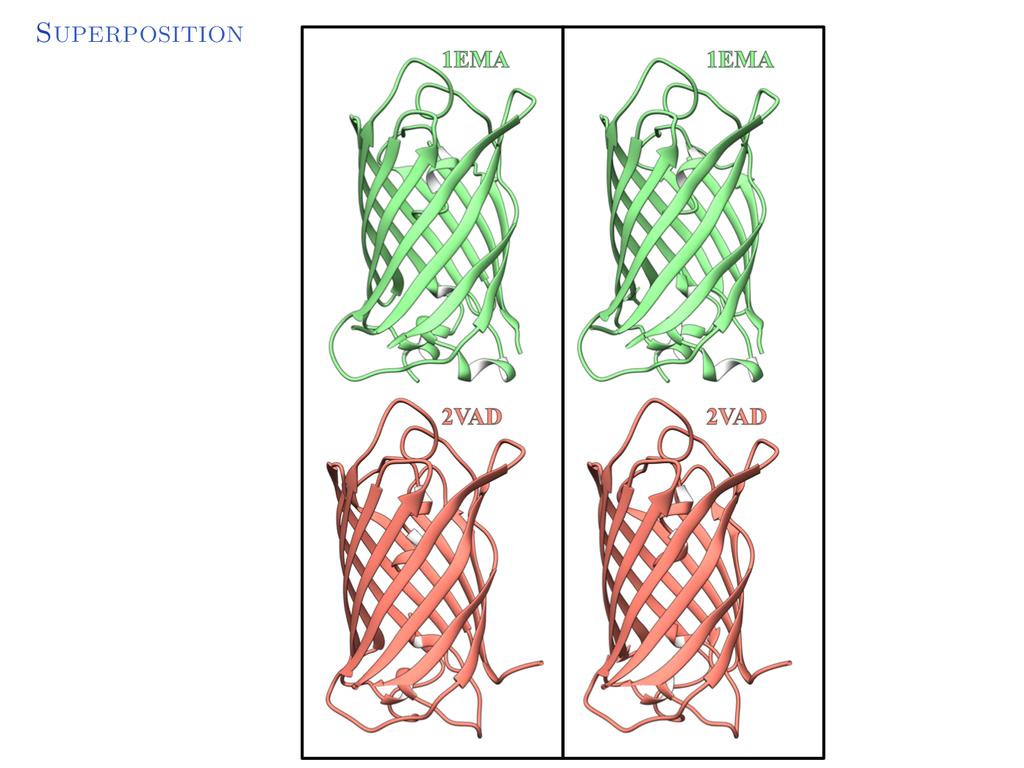 Homologous proteins have similar structures and structural superposition means to rotate and translate the structures so that corresponding atoms are as close to each other as