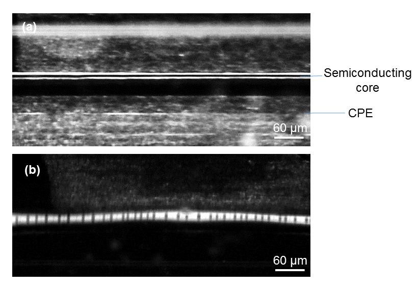 Supplementary Figure 4 (a) Transmission optical micrograph of a fibre with a semiconducting core radius of 2.