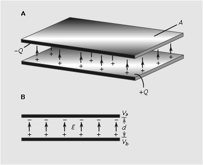 Parallel Plate Capacitor Bulk: 3-d space between plates Fluctuations of the field in the bulk induce fluctuations of