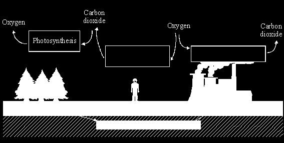 diagram. The first one has been done for you. Fossil fuels, such as natural gas, react with oxygen.