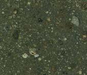 14 Chondrules and the early Solar System The chondrules in the ordinary chondrite meteorites formed very early in the history of the Solar System, before the Sun and planets had