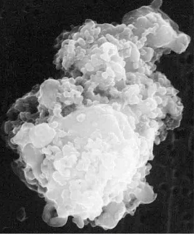 Geology of Comet Nuclei (2) Not solid ice balls, but fluffy material with significant amounts of empty space