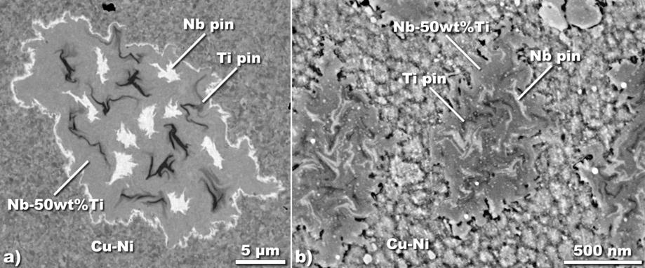 FIGURE. a) A high resolution back-scattered electron image of a cross section for Nb-Ti filament of 20.4 µm with mixed Nb (white) and Ti (black) artificial pins. The nominal diameter of pins is.9 µm.