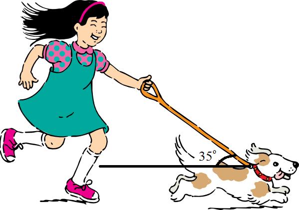 Work Done By A Constant Force Ex 5: While walking your dog, you pull with a 2 N force on the leash at the angle in the
