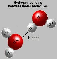 = when H covalently bonds with one