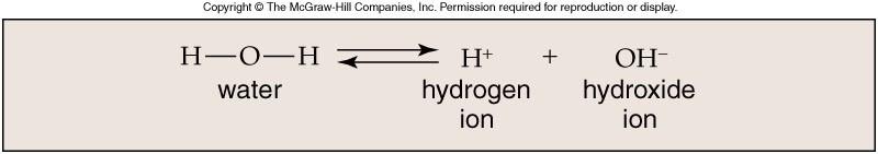 Acids and Bases When water ionizes, it releases an