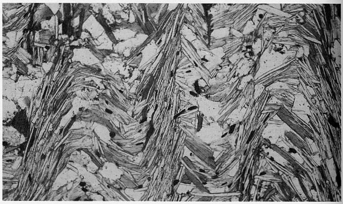 雲母片岩在顯微鏡底下所呈現的領域構造