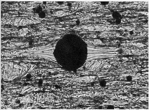 Pressure shadows ( 壓影構造 ) 顯微鏡底下磁鐵礦的壓影構造 Courtesy