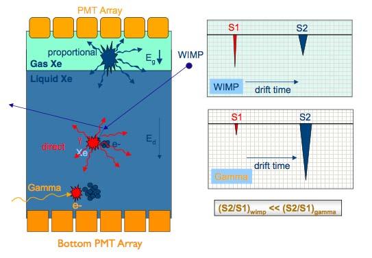 Two-phase Xenon Detectors for Dark Matter Detection