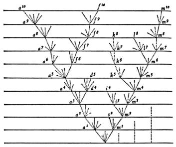 coevolution Identifying lateral transfer events Outline Unrooted networks vs. rooted trees How to read a tree How to infer a tree Including how to measure confidence in your answer!