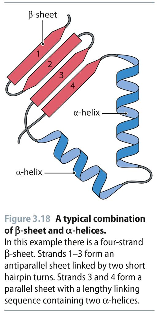 Reproduced from: Biochemistry by T.A.