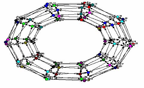 Physical groups in a Dynamic Network: