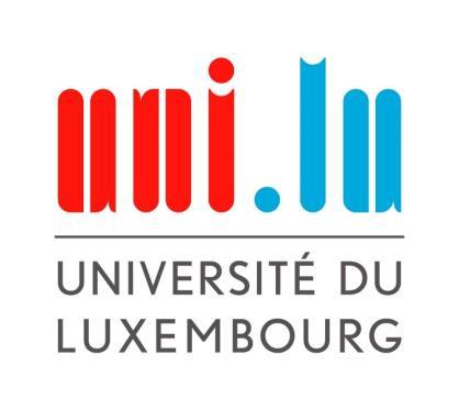 Philipp E. Sischka University of Luxembourg Contact: Philipp Sischka, University of Luxembourg, INSIDE, Porte des Sciences, L-4366 Esch-sur-Alzette, philipp.sischka@uni.