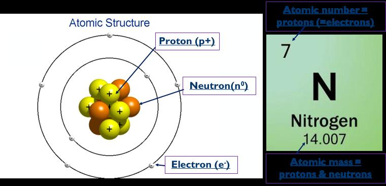CC3 Atomic Structure Atoms are made up of three subatomic particles Subatomic particle Mass Charge Location Proton 1 +1 Nucleus Electron 1/1840