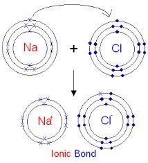 Ionic compounds form during the process of ionization, where atoms become ions, transferring electrons between each other: a metal atom will lose its valence electrons,