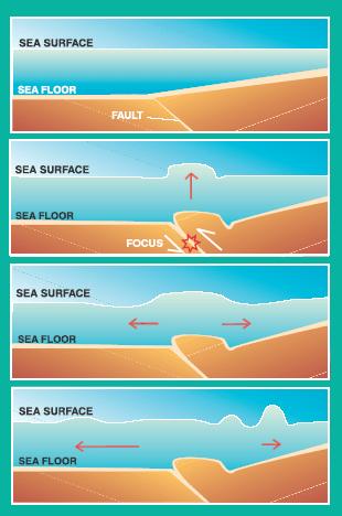 DAMAGE FROM EARTHQUAKES TSUNAMIS When an earthquake occurs beneath the sea, part of the sea floor rises or falls and water is displaced in response to the rock movement, forming a wave.