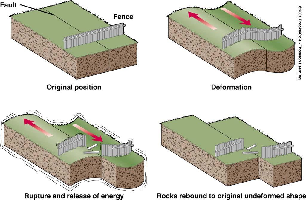 THE ELASTIC REBOUND THEORY The Elastic Rebound Theory explains how energy is stored in rocks Rocks bend until the strength of the rock is